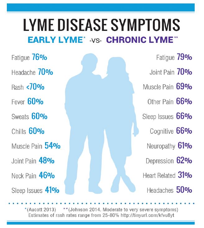 Lyme Disease Rash Early Stage